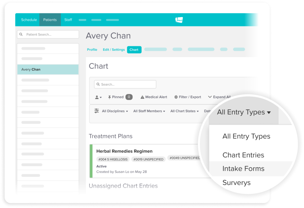 Medical chart interface showing patient Avery Chan's treatment plans and entry type filter options