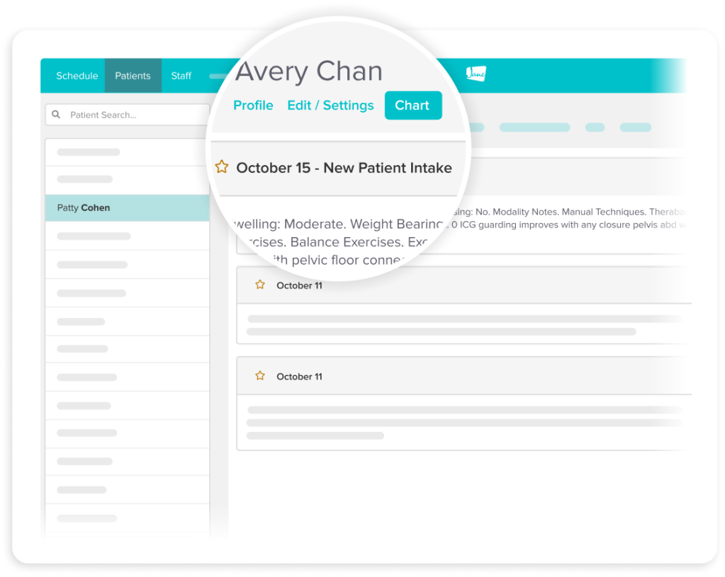 Healthcare management software interface showing patient schedule and chart details for Avery Chan