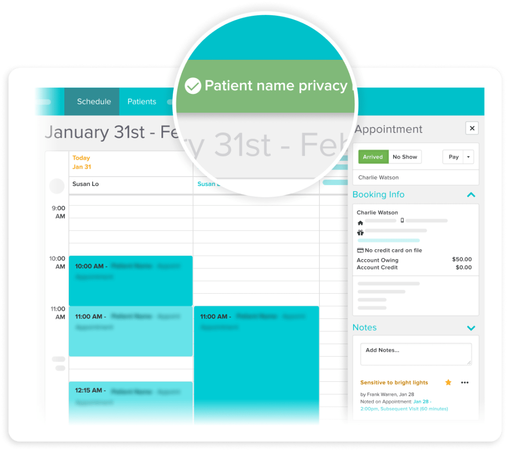 Medical appointment scheduling interface showing calendar view for January 31st with patient appointments and booking details panel